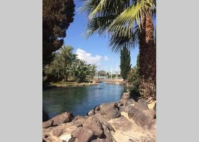 Brilliant Cibeles Torrevieja